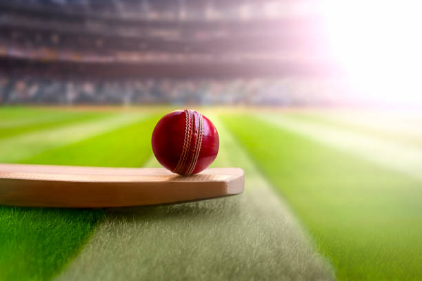 Strategies for betting on domestic T20 leagues