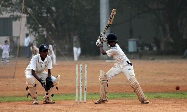 Investigating the Role of IPL Groundsmen in Pitch Preparation