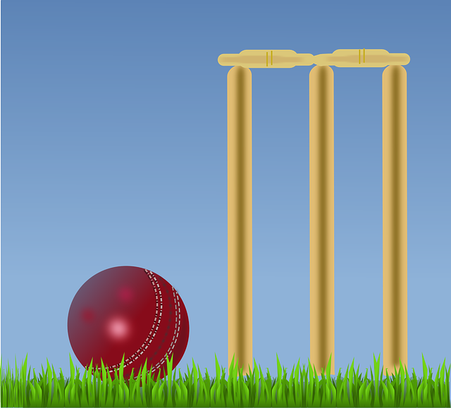 The Evolution of IPL Match Analysis: Data-Driven Insights and Predictive Analytics