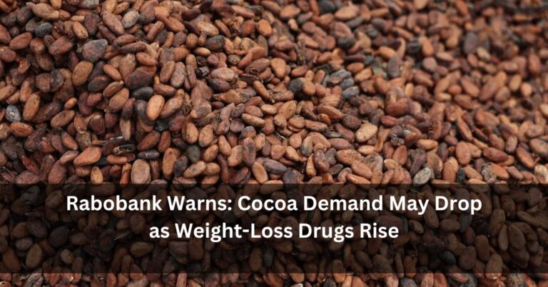 Rabobank Warns: Cocoa Demand May Drop as Weight-Loss Drugs Rise
