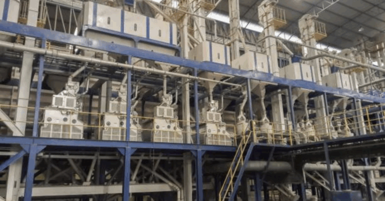 The Growing Importance of Rice Plant Machinery in Modern Agriculture
