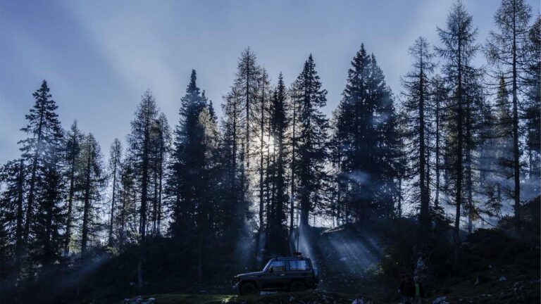 How To Deposit Money In Cricbet99 Account?