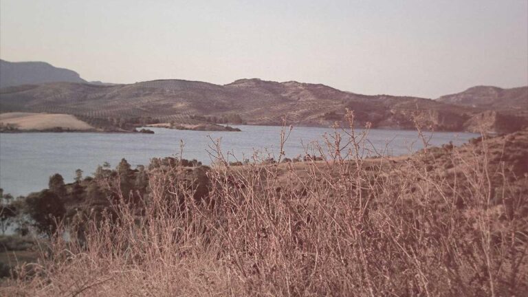 What Features Come With 11Xplay Exchange Accounts?